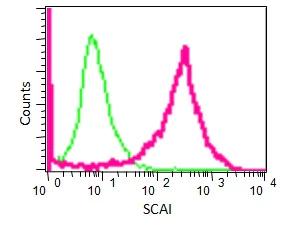 Flow Cytometry (Intracellular) - Anti-SCAI antibody [EPR4128] - BSA and Azide free (AB247960)