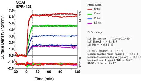 OI-RD Scanning - Anti-SCAI antibody [EPR4128] - BSA and Azide free (AB247960)