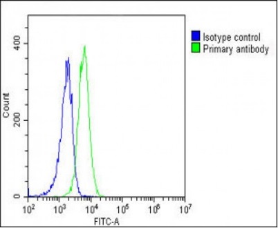 Flow Cytometry (Intracellular) - Anti-SCAP antibody (AB190103)