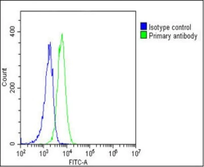 Flow Cytometry (Intracellular) - Anti-SCAP antibody (AB190103)