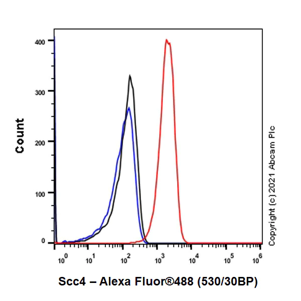 Flow Cytometry (Intracellular) - Anti-Scc4 antibody [EPR14390] - BSA and Azide free (AB250646)