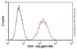 Anti-SCD1 antibody [CD.E10]