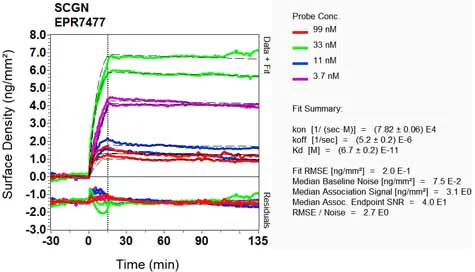 OI-RD Scanning - Anti-SCGN/Secretagogin antibody [EPR7477] (AB137017)