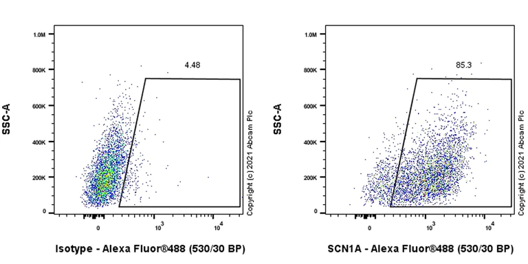 Flow Cytometry (Intracellular) - Anti-Scn1a antibody [EPR22326-112] - BSA and Azide free (AB281839)