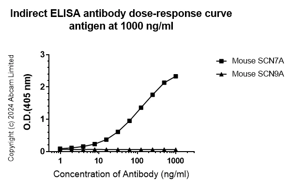 Indirect ELISA - Anti-SCN7A antibody [EPR27096-569] - BSA and Azide free (AB324823)