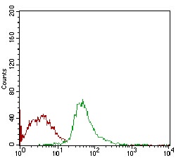 Flow Cytometry - Anti-SCP3 antibody [6F9C5] (AB181746)