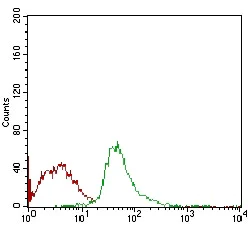 Flow Cytometry - Anti-SCP3 antibody [6F9C5] (AB181746)