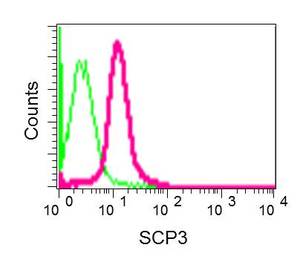 Flow Cytometry (Intracellular) - Anti-SCP3 antibody [EPR12695(B)] - BSA and Azide free (AB250482), expandable thumbnail