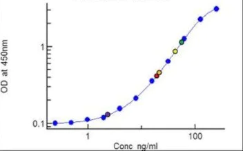 Indirect ELISA - Anti-SDF1 antibody [RP23040178] (AB307995)