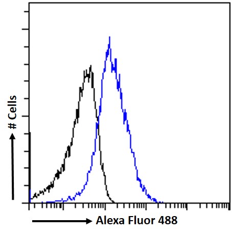 Flow Cytometry - Anti-SDF4 antibody (AB113413), expandable thumbnail