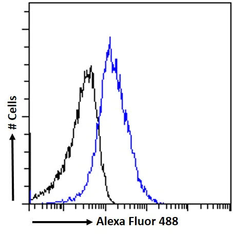 Flow Cytometry - Anti-SDF4 antibody (AB113413)