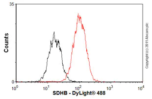 Flow Cytometry - Anti-SDHB antibody [21A11AE7] (AB14714)