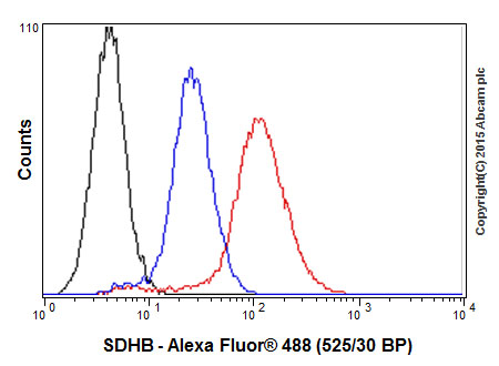 Flow Cytometry (Intracellular) - Anti-SDHB antibody [EPR10880] (ab175225), expandable thumbnail