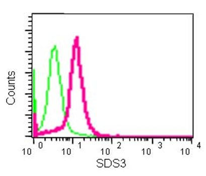 Flow Cytometry (Intracellular) - Anti-SDS3 antibody [EPR15000] (AB184555)