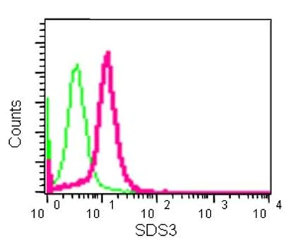 Flow Cytometry (Intracellular) - Anti-SDS3 antibody [EPR15000] - BSA and Azide free (AB250757)