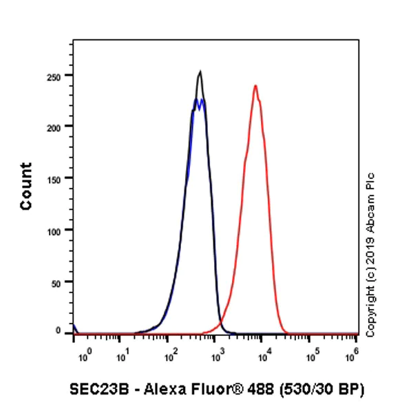 Flow Cytometry (Intracellular) - Anti-SEC23B antibody [EPR22723-24] - BSA and Azide free (AB270756)