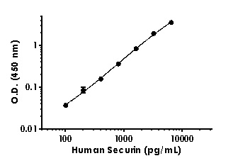 Sandwich ELISA - Anti-Securin antibody [EPR20415-199] - BSA and Azide free (Capture) (AB244708), expandable thumbnail