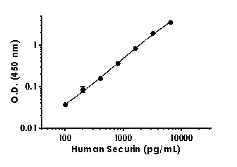 Sandwich ELISA - Anti-Securin antibody [EPR20415-67] - BSA and Azide free (Detector) (AB244975)