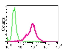 Flow Cytometry (Intracellular) - Anti-Securin antibody [EPR3240] (AB79546)