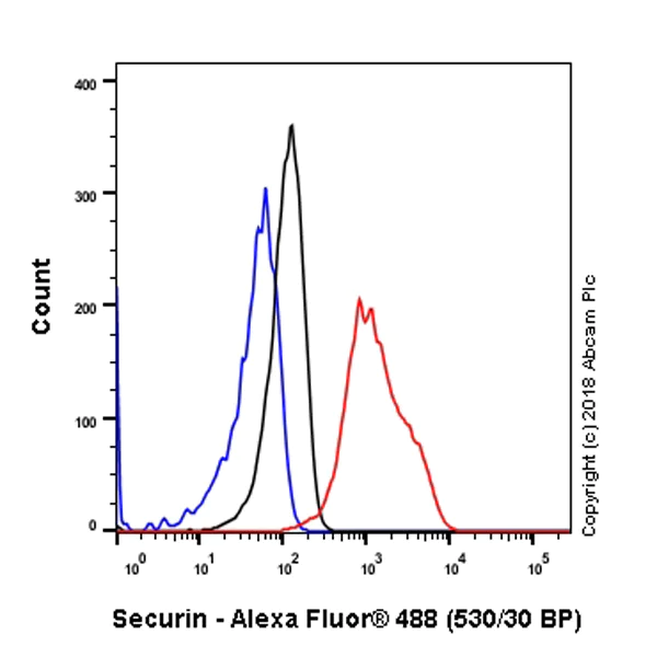 Flow Cytometry (Intracellular) - Anti-Securin antibody [EPR3240] - BSA and Azide free (AB239892)