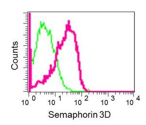 Flow Cytometry (Intracellular) - Anti-SEMA3D antibody [EPR13458(B)] - BSA and Azide free (AB250177), expandable thumbnail