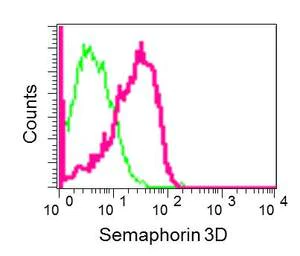 Flow Cytometry (Intracellular) - Anti-SEMA3D antibody [EPR13458(B)] - BSA and Azide free (AB250177)
