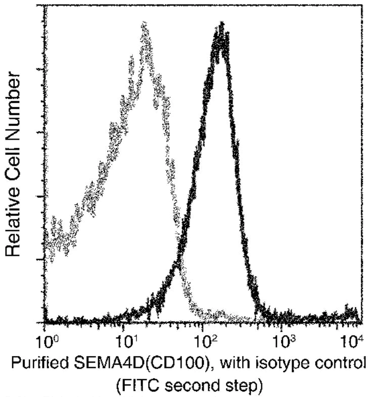 Flow Cytometry - Anti-Semaphorin 4D/CD100 antibody [010] - BSA and Azide free (AB277139)