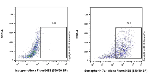 Flow Cytometry - Anti-Semaphorin 7a antibody [EPR22644-316] - BSA and Azide free (AB267399)
