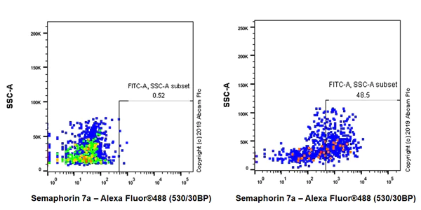 Flow Cytometry - Anti-Semaphorin 7a antibody [EPR22644-79] - BSA and Azide free (AB256812)