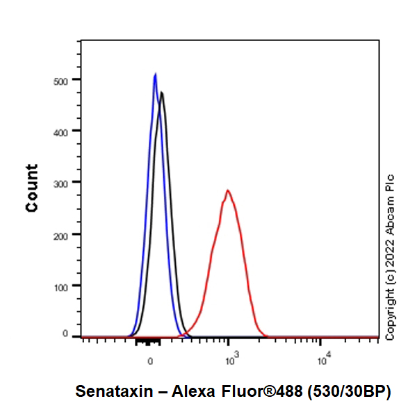 Flow Cytometry (Intracellular) - Anti-Senataxin antibody [EPR24137-74] (AB300439)