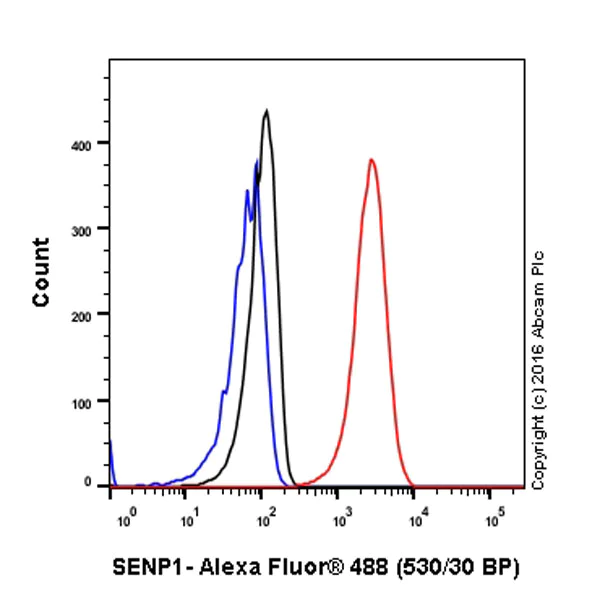 Flow Cytometry (Intracellular) - Anti-SENP1 antibody [EPR3844] (AB108981)