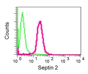 Flow Cytometry (Intracellular) - Anti-Septin 2 antibody [EPR12123] (AB179436)