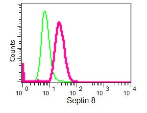 Flow Cytometry (Intracellular) - Anti-Septin 8 antibody [EPR16099] (AB191404)