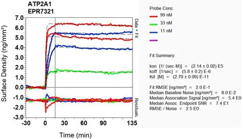 OI-RD Scanning - Anti-SERCA1 ATPase antibody [EPR7321] (AB133275)