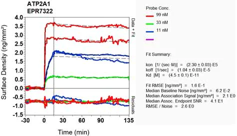 OI-RD Scanning - Anti-SERCA1 ATPase antibody [EPR7322] (AB129104)