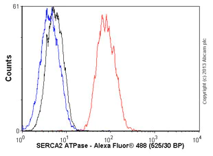 Flow Cytometry (Intracellular) - Anti-SERCA2 ATPase antibody [EPR9392] (AB150435)