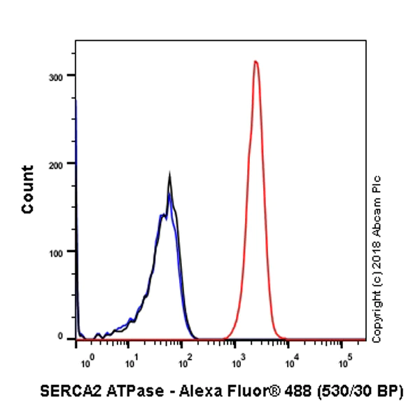 Flow Cytometry (Intracellular) - Anti-SERCA2 ATPase antibody [EPR9392] - BSA and Azide free (AB238426)