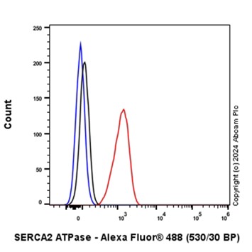 Flow Cytometry (Intracellular) - Anti-SERCA2 ATPase antibody [EPR9393] - BSA and Azide free (AB240095), expandable thumbnail