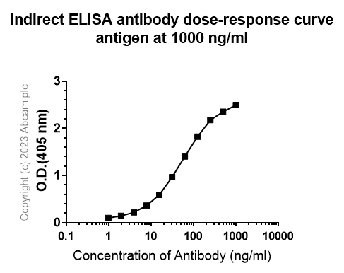Indirect ELISA - Anti-Serotonin antibody [EPR24431-201] (AB315150)