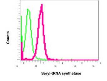 Flow Cytometry (Intracellular) - Anti-Seryl-tRNA synthetase/SERS antibody [EPR10684(B)] (AB154825), expandable thumbnail