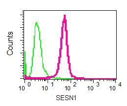 Flow Cytometry (Intracellular) - Anti-SESN1 antibody [EPR1930(2)] - BSA and Azide free (AB236027)