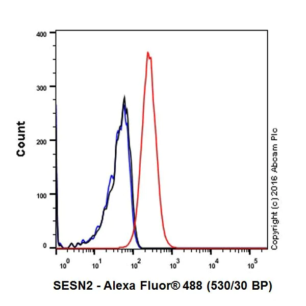 Flow Cytometry (Intracellular) - Anti-SESN2/Sestrin-2 antibody [EPR18907] - BSA and Azide free (AB236025)