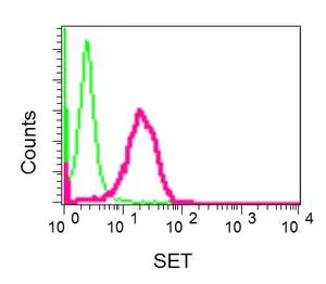 Flow Cytometry (Intracellular) - Anti-SET/TAF-I antibody [EPR12972(B)] (AB176567)