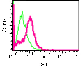 Flow Cytometry (Intracellular) - Anti-SET/TAF-I antibody [EPR12973] (AB181990)