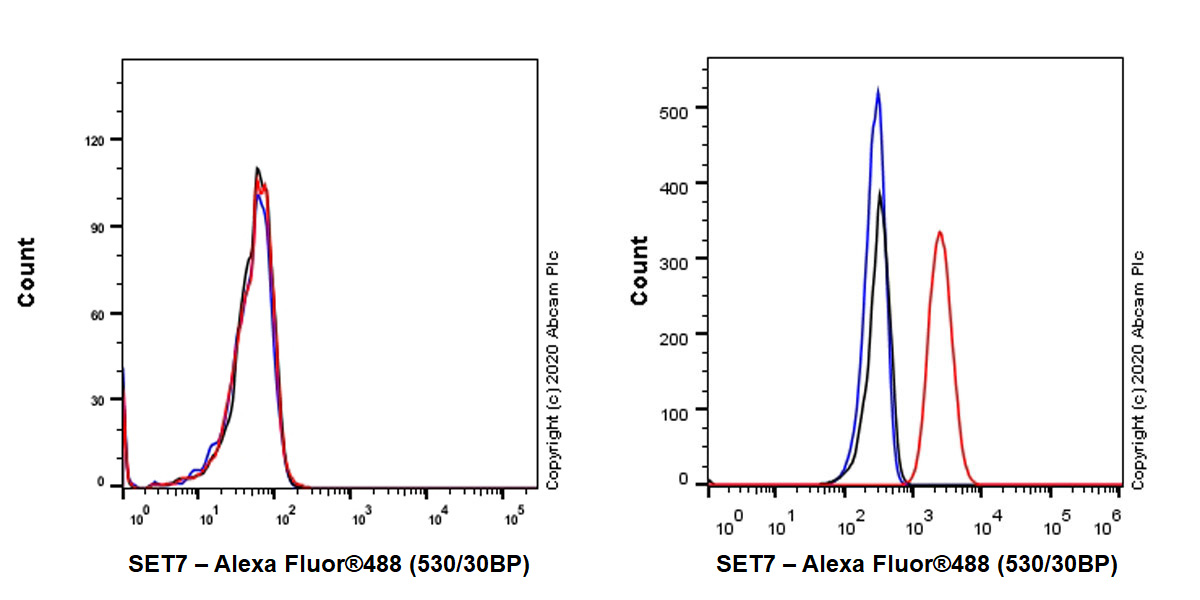 Flow Cytometry (Intracellular) - Anti-SET7 antibody [EPR23775-142] (AB274416), expandable thumbnail