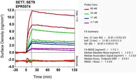 OI-RD Scanning - Anti-SET7 antibody [EPR5574] - BSA and Azide free (AB239434)