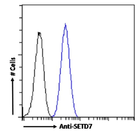 Flow Cytometry - Anti-SETD7 antibody [RAB-C220] (AB317724)