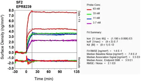 OI-RD Scanning - Anti-SF2 antibody [EPR8239] - BSA and Azide free (AB248306)