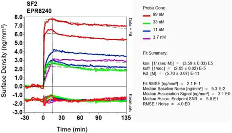 OI-RD Scanning - Anti-SF2 antibody [EPR8240] (AB133689)