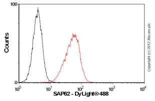 Flow Cytometry (Intracellular) - Anti-SF3a66 antibody [4G8] (AB77800)